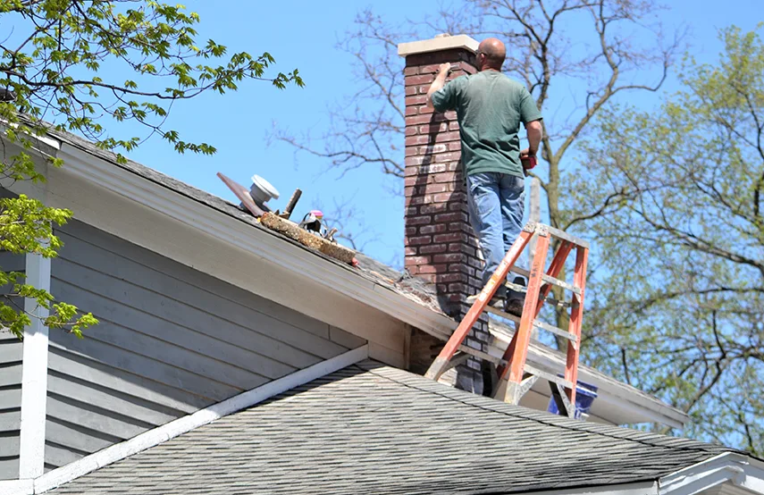 Chimney & Fireplace Inspections Services in Burke, VA